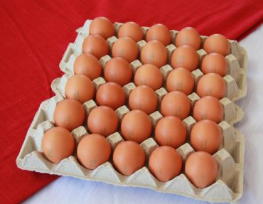 Яйцо куриное столовое Высшей категории