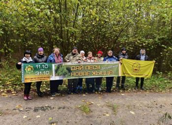 Дай лесу новую жизнь!