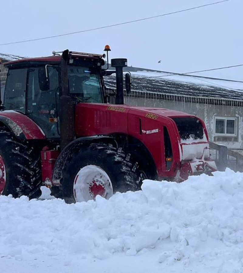 photo 2026-01-18 12-37-13